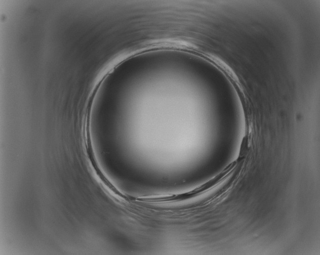 X0000082951391200702011231
