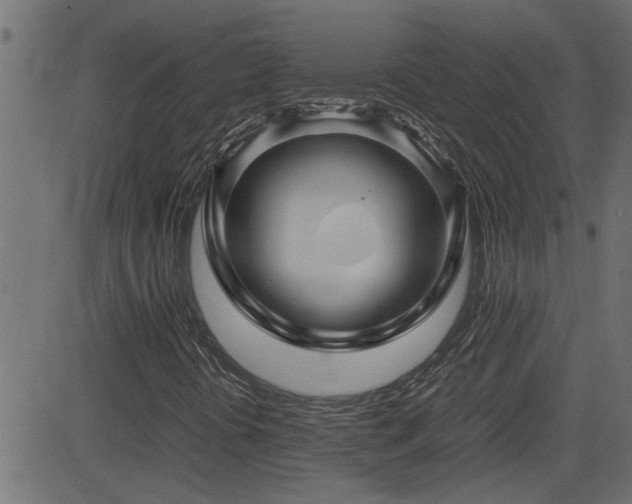 X0000082951394200702011230