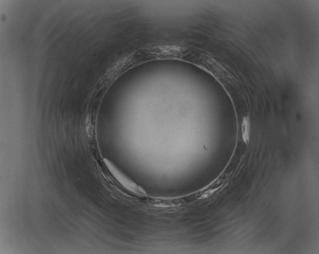 X0000082951395200702011230