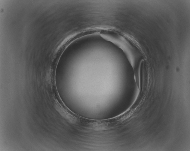 X0000082951404200702011231
