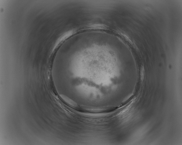 X0000082951405200702011231