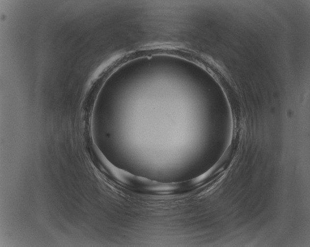 X0000082951406200702011231