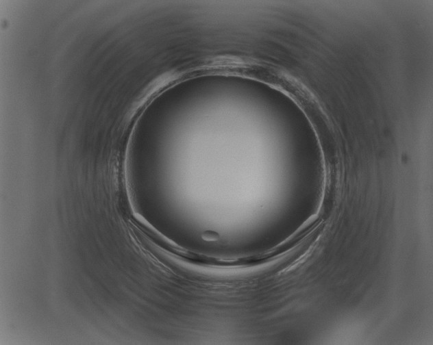 X0000082951409200702011231