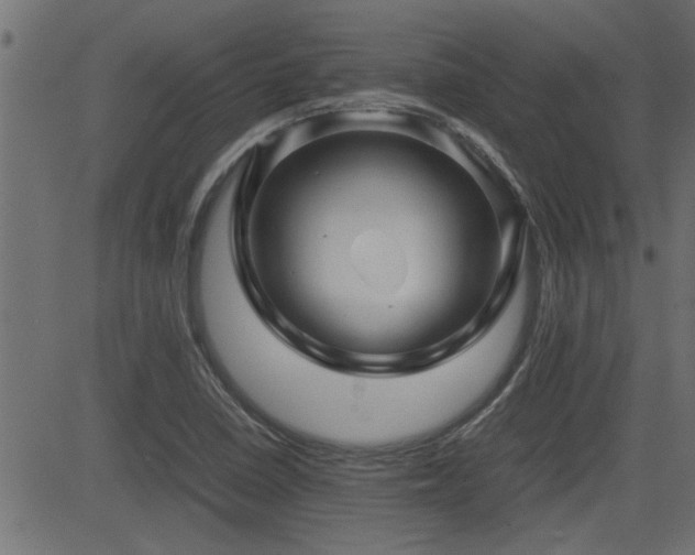 X0000082951410200702011231