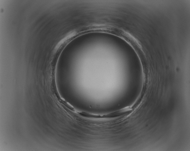 X0000082951411200702011231