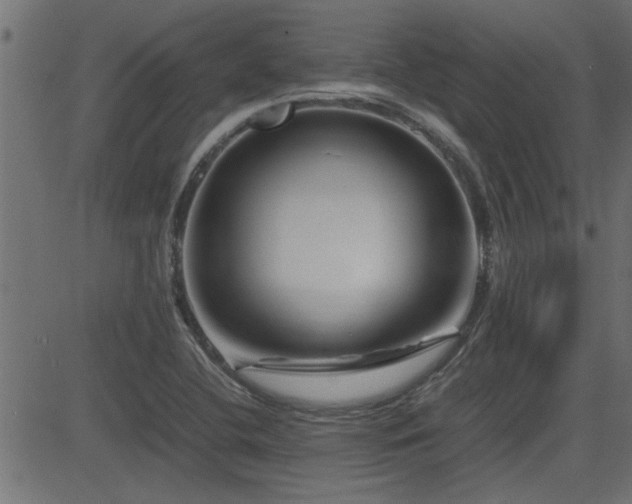 X0000082951412200702011231