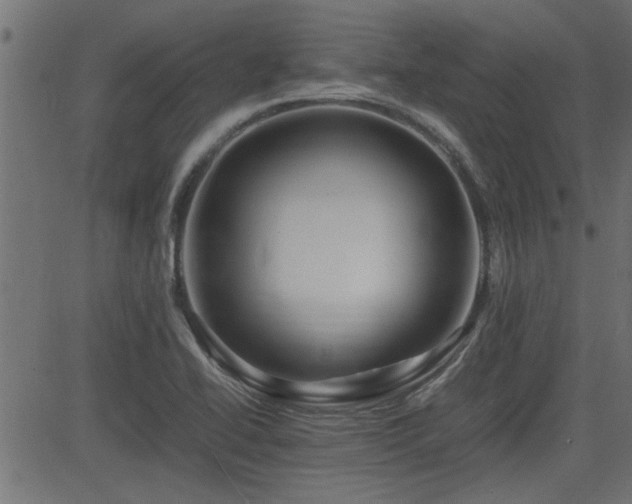 X0000082951414200702011231