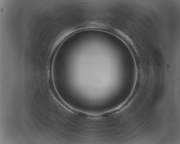 X0000082951415200702011231