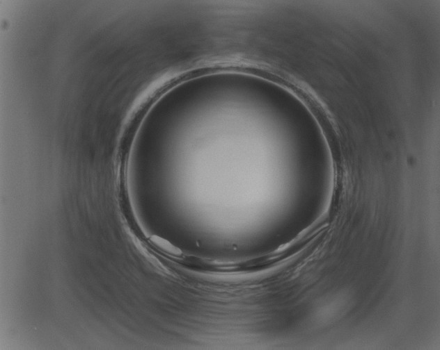 X0000082951416200702011231