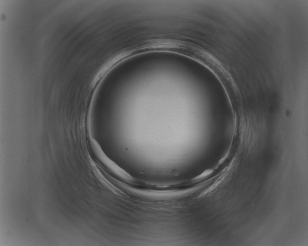 X0000082951417200702011231