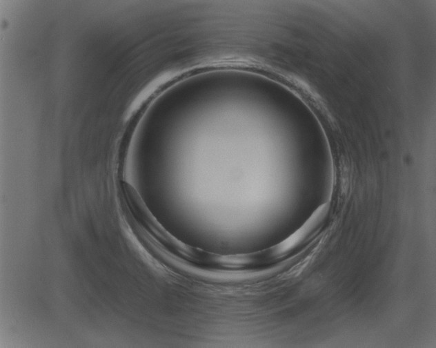X0000082951422200702011231