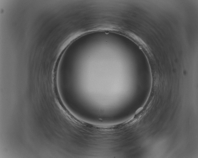 X0000082951423200702011231