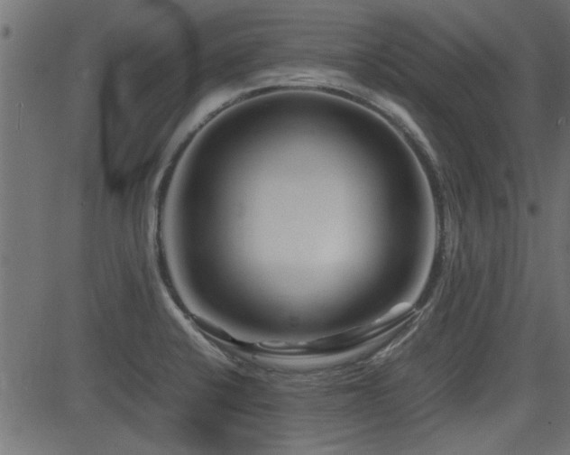 X0000082951424200702011231