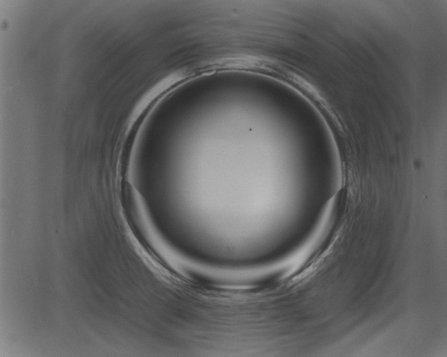 X0000082951426200702011231
