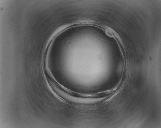 X0000082951429200702011231