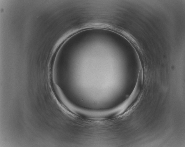 X0000082951430200702011231