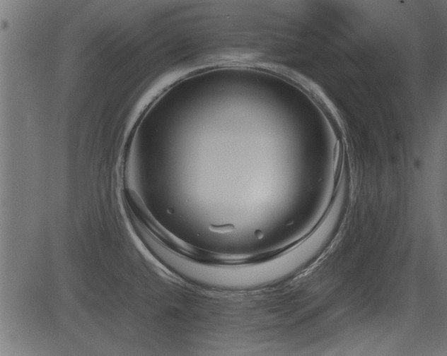 X0000082951432200702011231