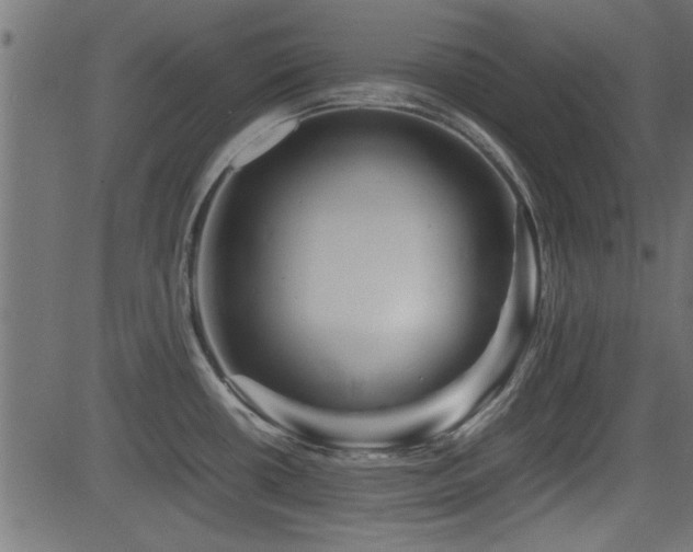 X0000082951434200702011231