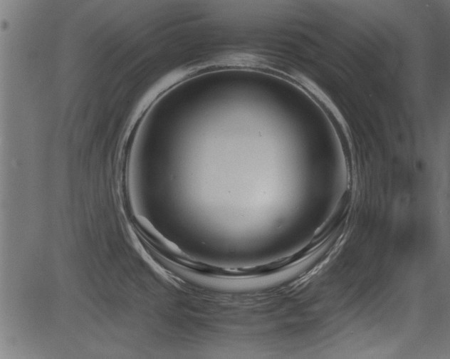X0000082951437200702011231