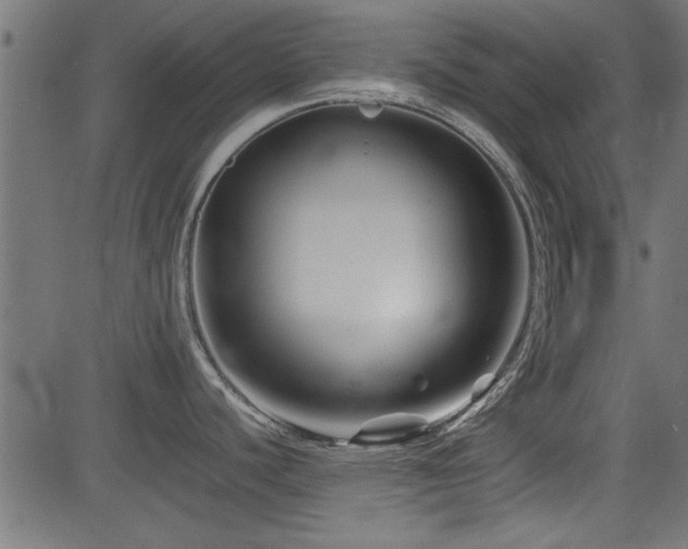 X0000082951440200702011231