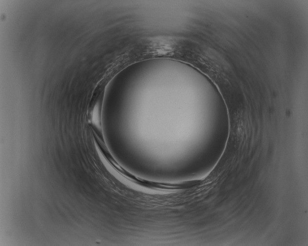 X0000082951442200702011230