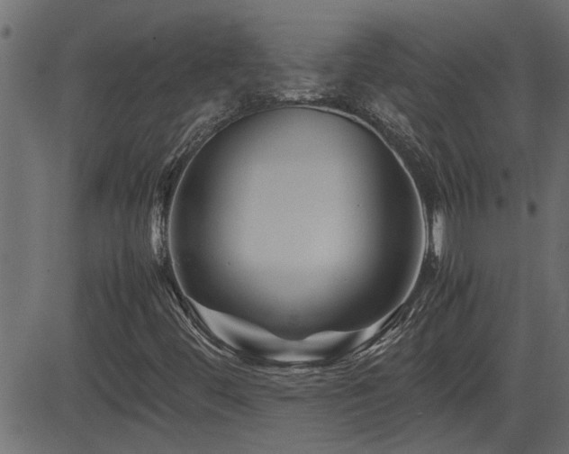 X0000082951444200702011230