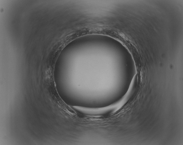 X0000082951445200702011230