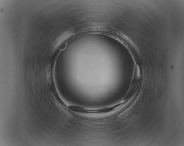 X0000082951450200702011230