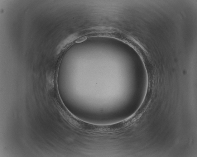X0000082951451200702011230