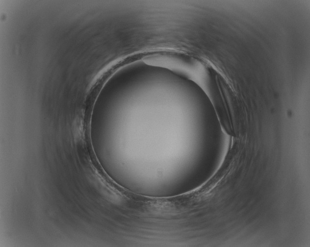 X0000082951452200702011230