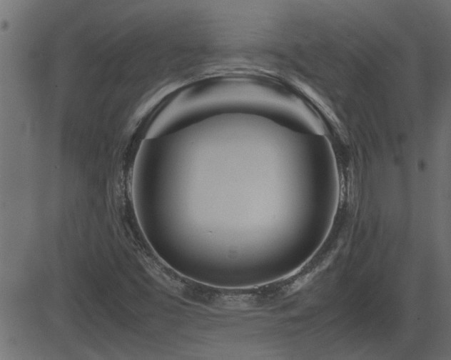 X0000082951453200702011230
