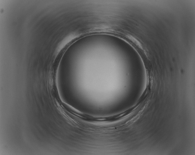 X0000082951458200702011230