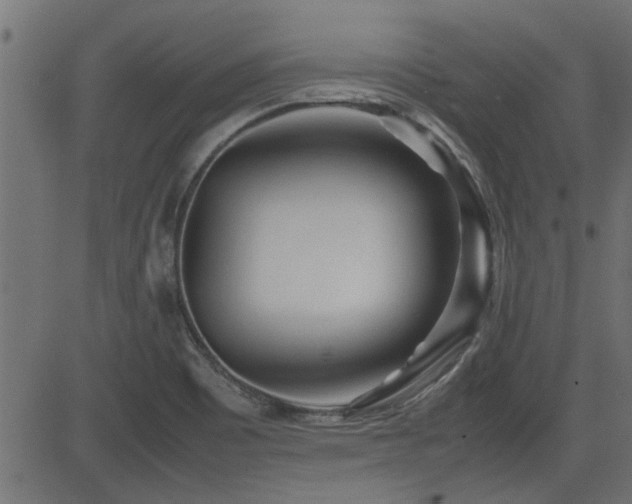 X0000082951465200702011230