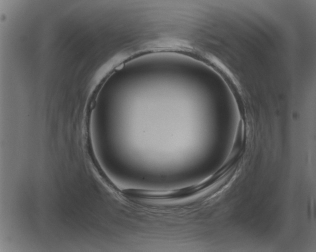 X0000082951469200702011230