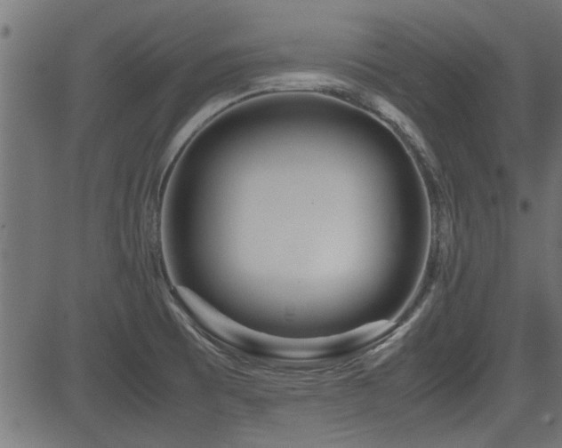 X0000082951473200702011230
