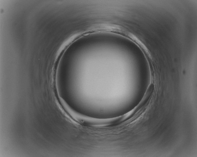 X0000082951477200702011230