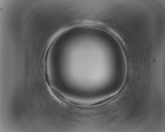 X0000082951479200702011230