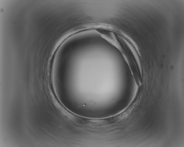 X0000082951483200702011230