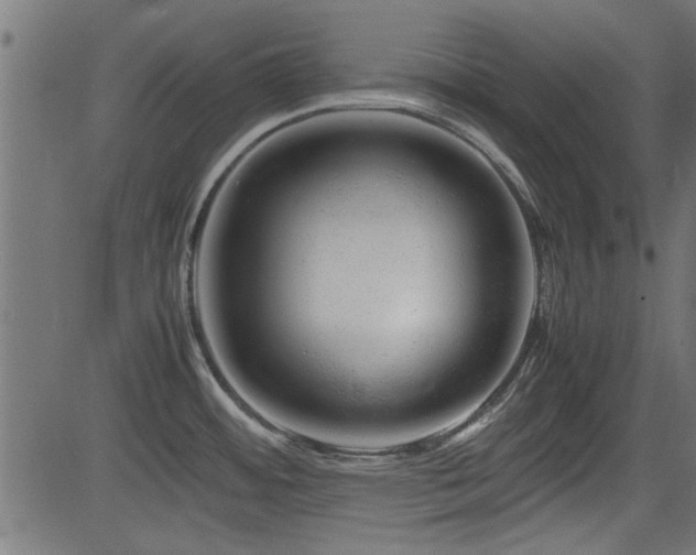 X0000082951484200702011230