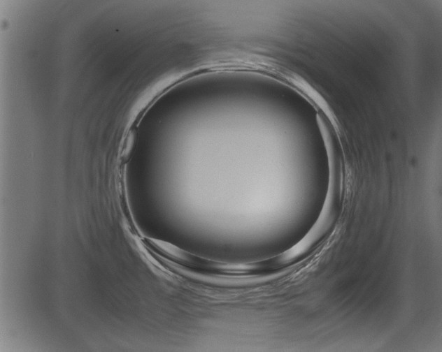 X0000082951485200702011230