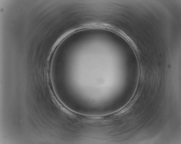 X0000082951486200702011230