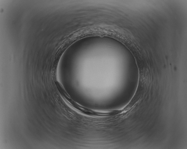 X0000082951490200702011229