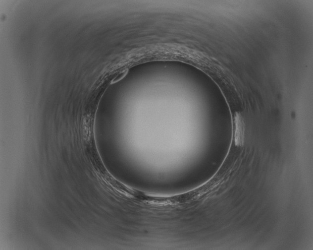 X0000082951491200702011229
