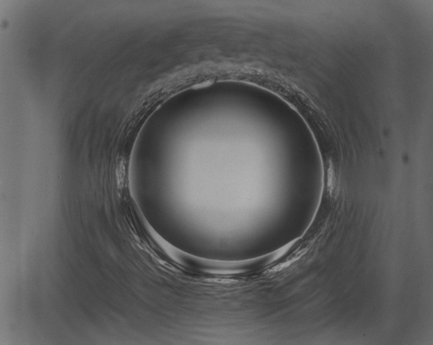 X0000082951492200702011229
