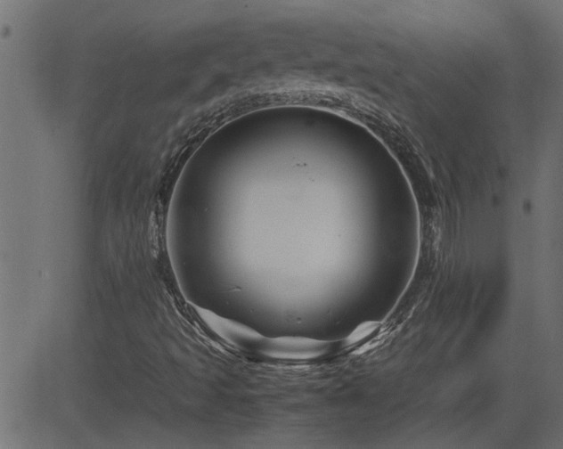 X0000082951493200702011229