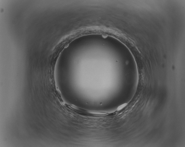 X0000082951494200702011229