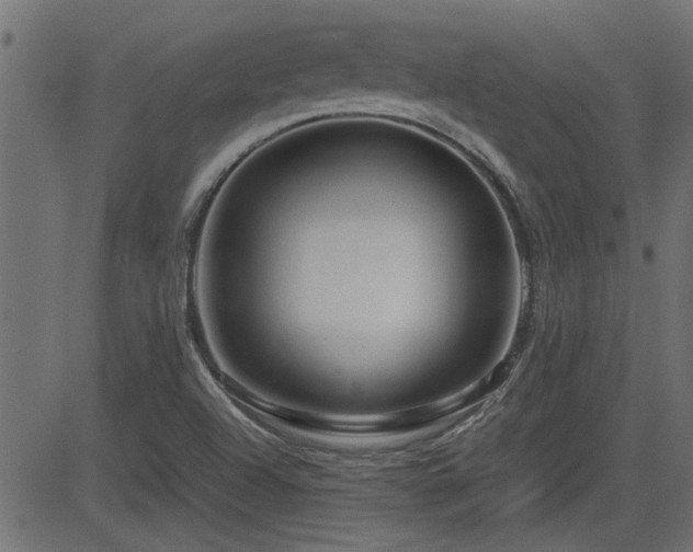 X0000082951504200702011229