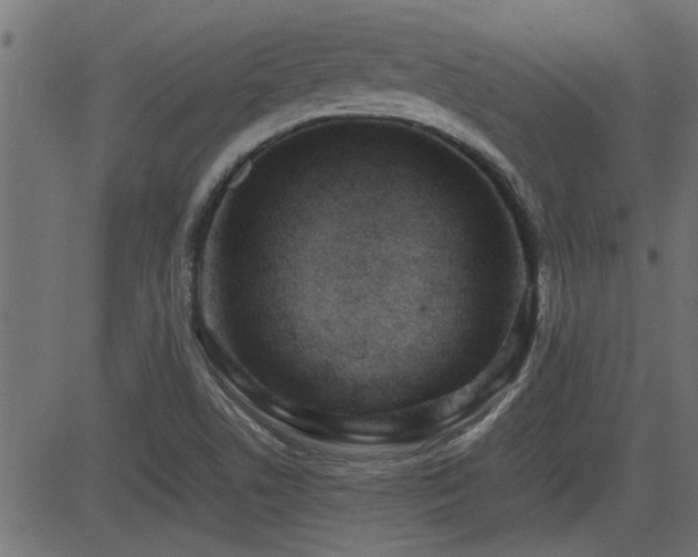 X0000082951506200702011229