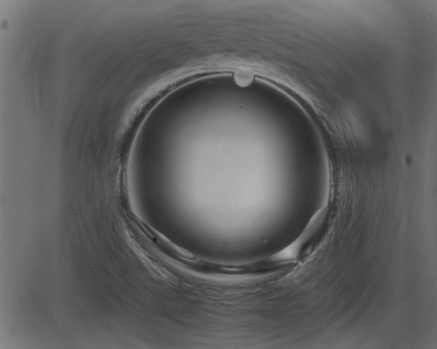 X0000082951507200702011229