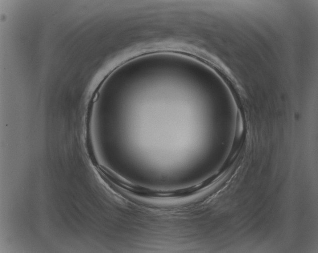 X0000082951512200702011229